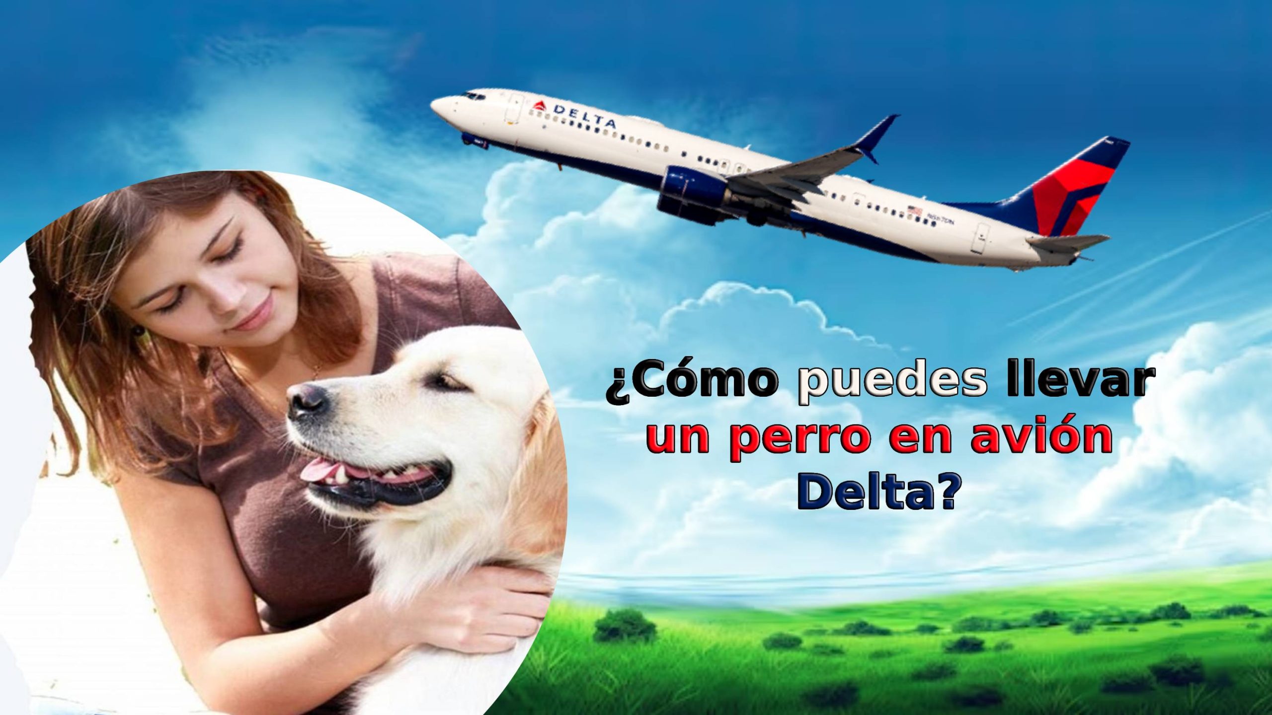 ¿Cómo puedes llevar un perro en avión Delta?