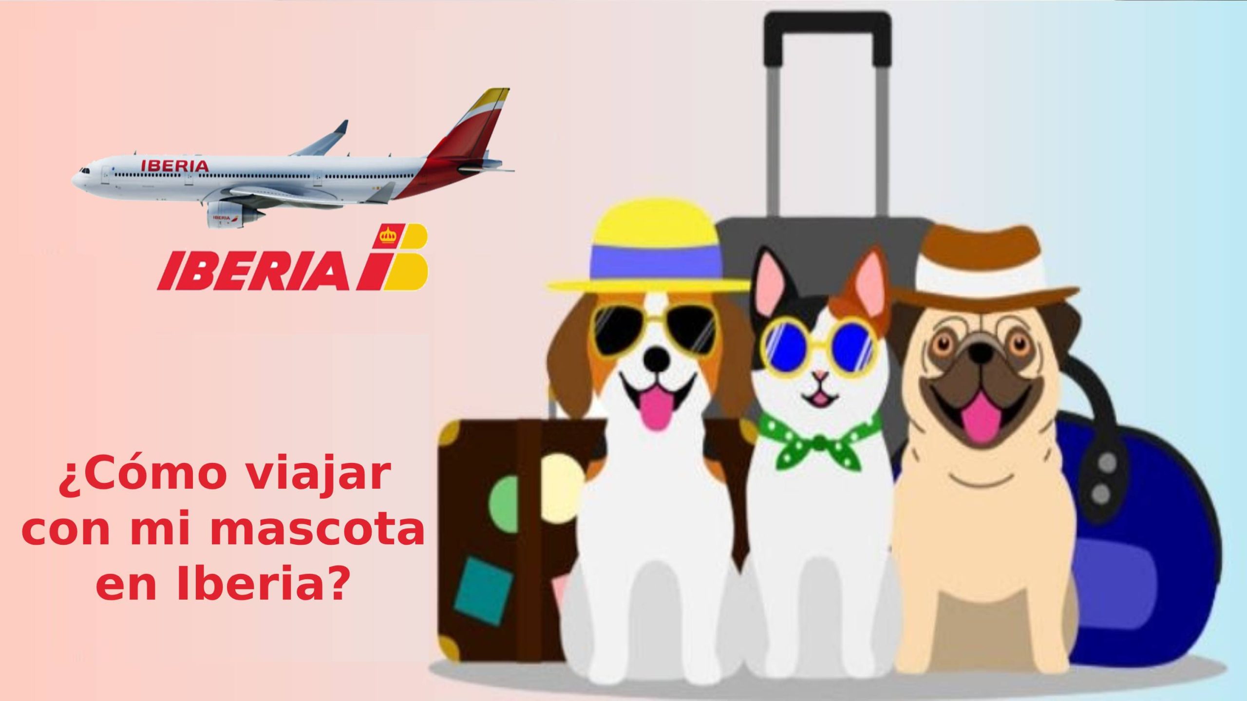 ¿Cómo viajar con mi mascota en Iberia?