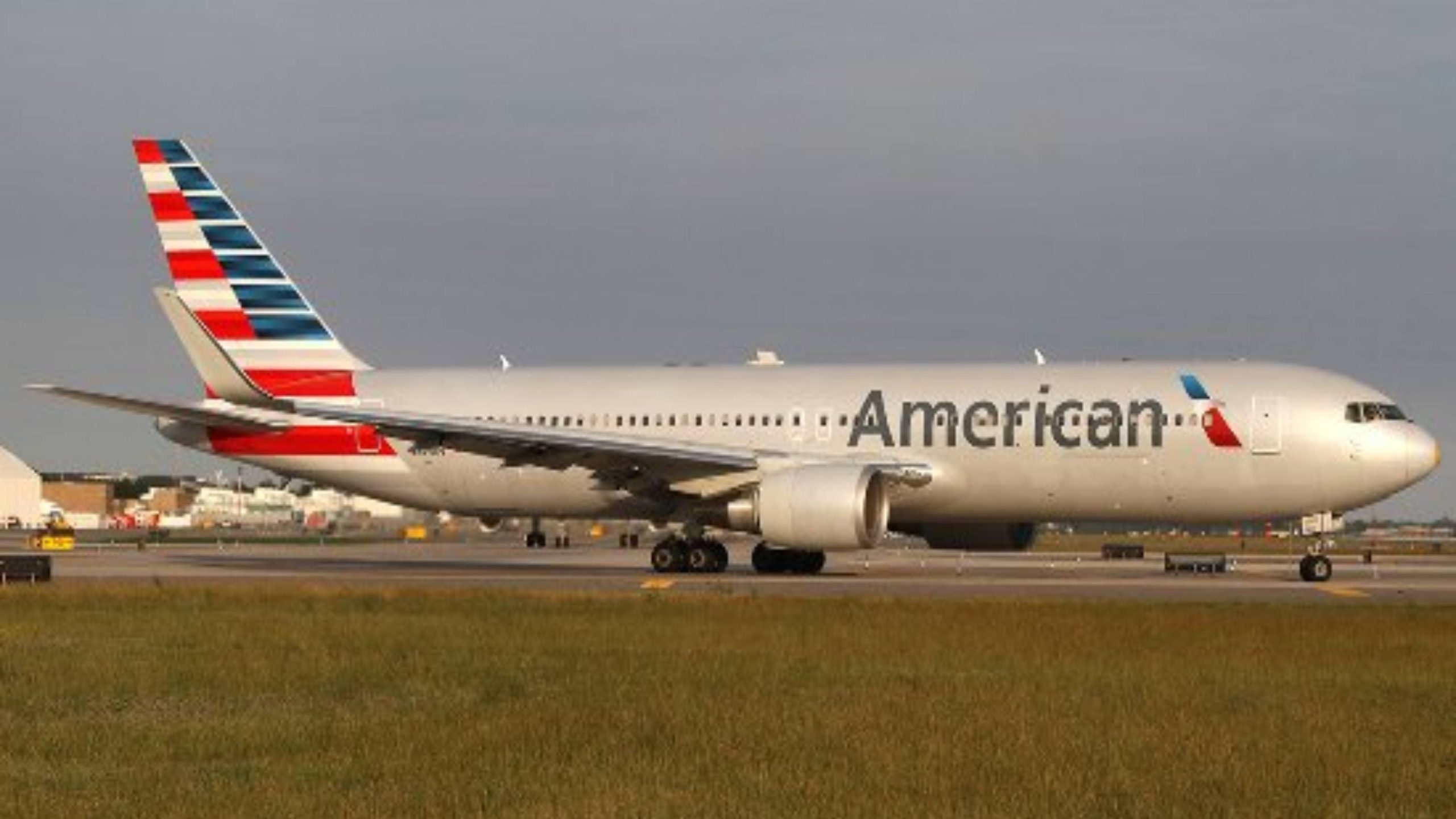 Puedes llevar un perro en American Airlines